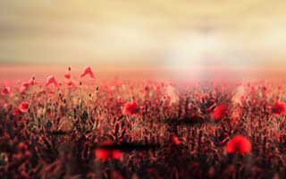 评论区炸了： 17c短视频的收藏夹被曝出新规则你站哪边？